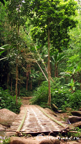 KHUN KON WATERFALL LAM NAM KOK NATIONAL PARK THAILAND CHIANG RAI ЧИАНГ РАЙ ЧАНГ РАЙ СЕВЕРНЫЙ ТАИЛАНД НАЦИОНАЛЬНЫЙ ПАРК ЛАМ НАМ КОК