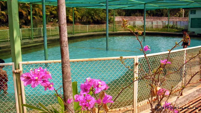 PHA SOET HOT SPRING  LAM NAM KOK NATIONAL PARK THAILAND CHIANG RAI ЧИАНГ РАЙ ЧАНГ РАЙ СЕВЕРНЫЙ ТАИЛАНД НАЦИОНАЛЬНЫЙ ПАРК ЛАМ НАМ КОК ГОРЯЧИЕ ИСТОЧНИКИ ПХА СОТ