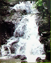 DOI PHA HOM POK NATIONAL PARK THAILAND_CHIANG MAI_FANG_MAI AI_ЧИАНГ МАЙ ЧАНГ МЭЙ СЕВЕРНЫЙ ТАИЛАНД НАЦИОНАЛЬНЫЙ ПАРК ДОЙ ПА ПХА ПОМ ПОК