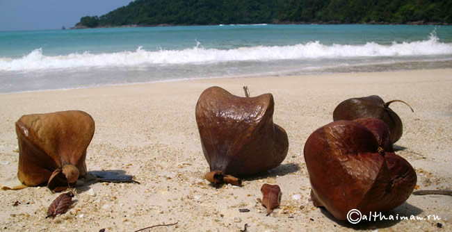 MU KO SURIN ISLANDS TAILAND_ОСТРОВА МУ КО СУРИН ТАИЛАНД