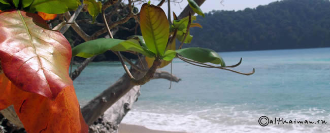 MU KO SURIN ISLANDS TAILAND_ОСТРОВА МУ КО СУРИН ТАИЛАНД