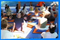 Ananda Wellness Resort: Yoga & Detox Center
