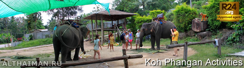 Koh Phangan Elephant Trekking, Koh Phangan Activities