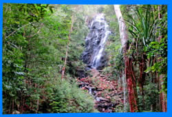 Phaeng Waterfalls
